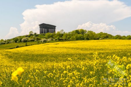 Summertime at Penshaw Monument