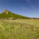 Roseberry Topping Panoramic Photograph