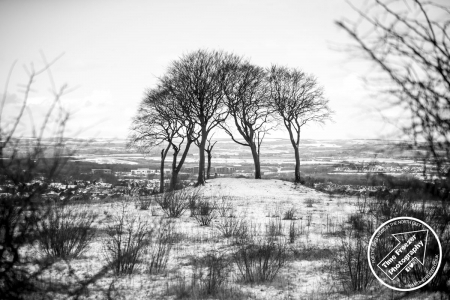 Photo Of Seven Sisters Copt Hill